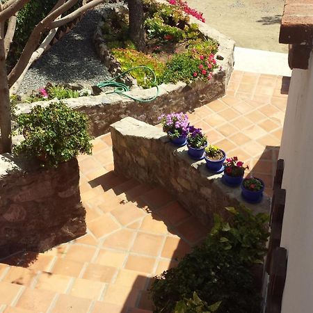 Quinta Los Arrayanes Hotel Ensenada Exterior foto